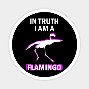 Flamingos flamingo Magnet